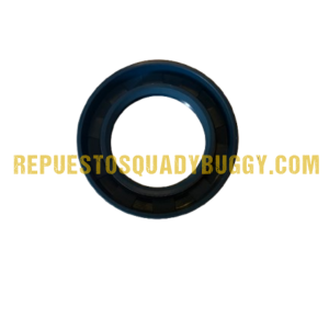 RETEN CAJA DE CAMBIOS BUGGY GOKA 650