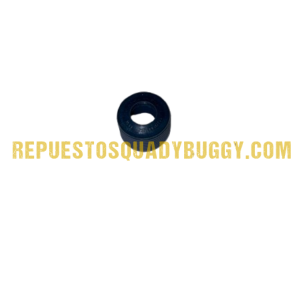 RETEN DE BOMBA DE AGUA BUGGY AXR 400
