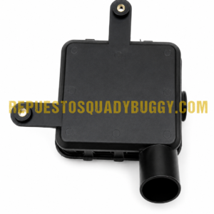 CAJA DE FILTRO DE AIRE BUGGY AZEL-DAZON 1100