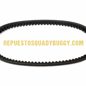 CORREA BUGGY PGO 250