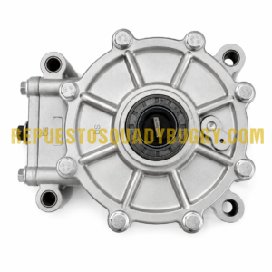 DIFERENCIAL TRASERO BUGGY RENLI 500